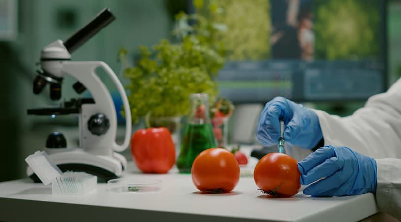 Producción de alimentos y bebidas